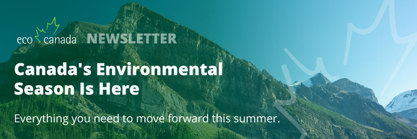 Monthly update on environmental careers, training, and events from ECO Canada.