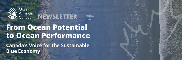 Ocean Alliance Canada — June 2026 Newsletter.