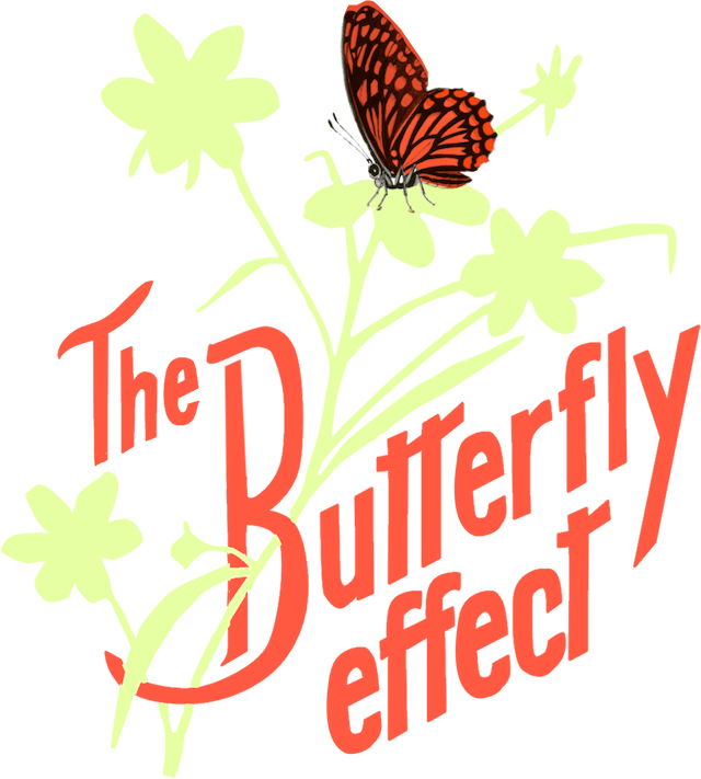 The Butterfly Effect