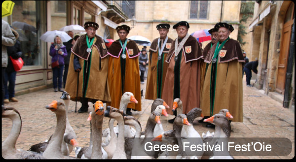 Geese Festival