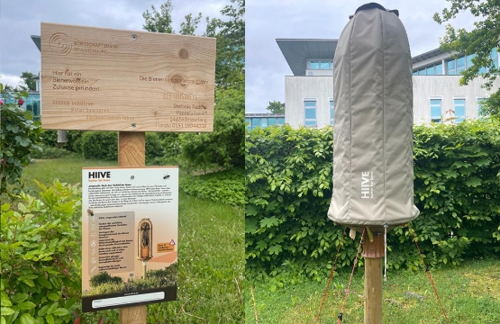 Zweiter Bienenstock – Nachhaltigkeit mit Kontinuität