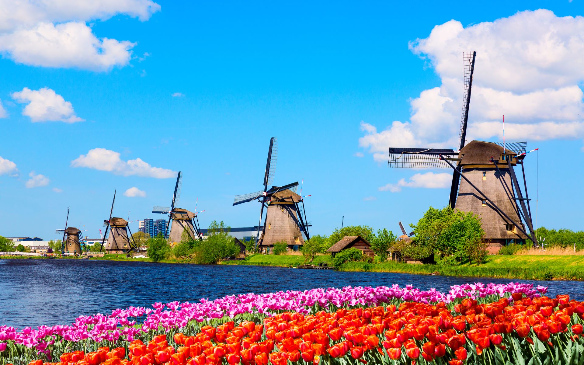  Catemay_Kinderdijk