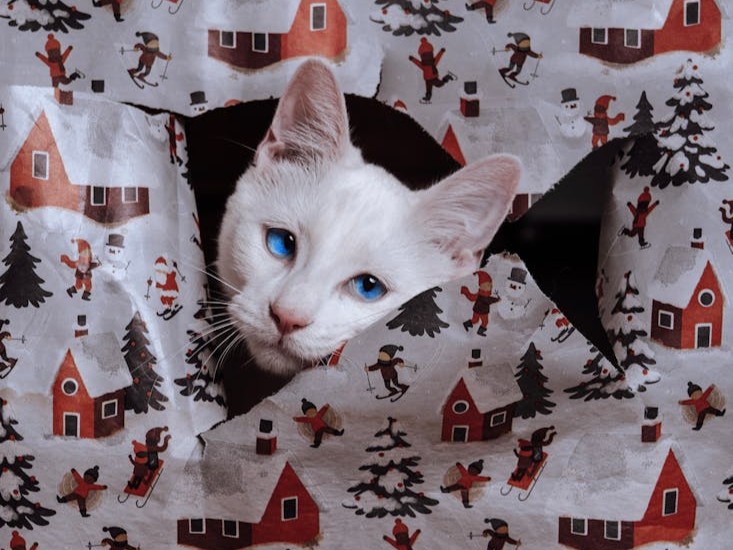 A dog playing in a pile of wrapping paper