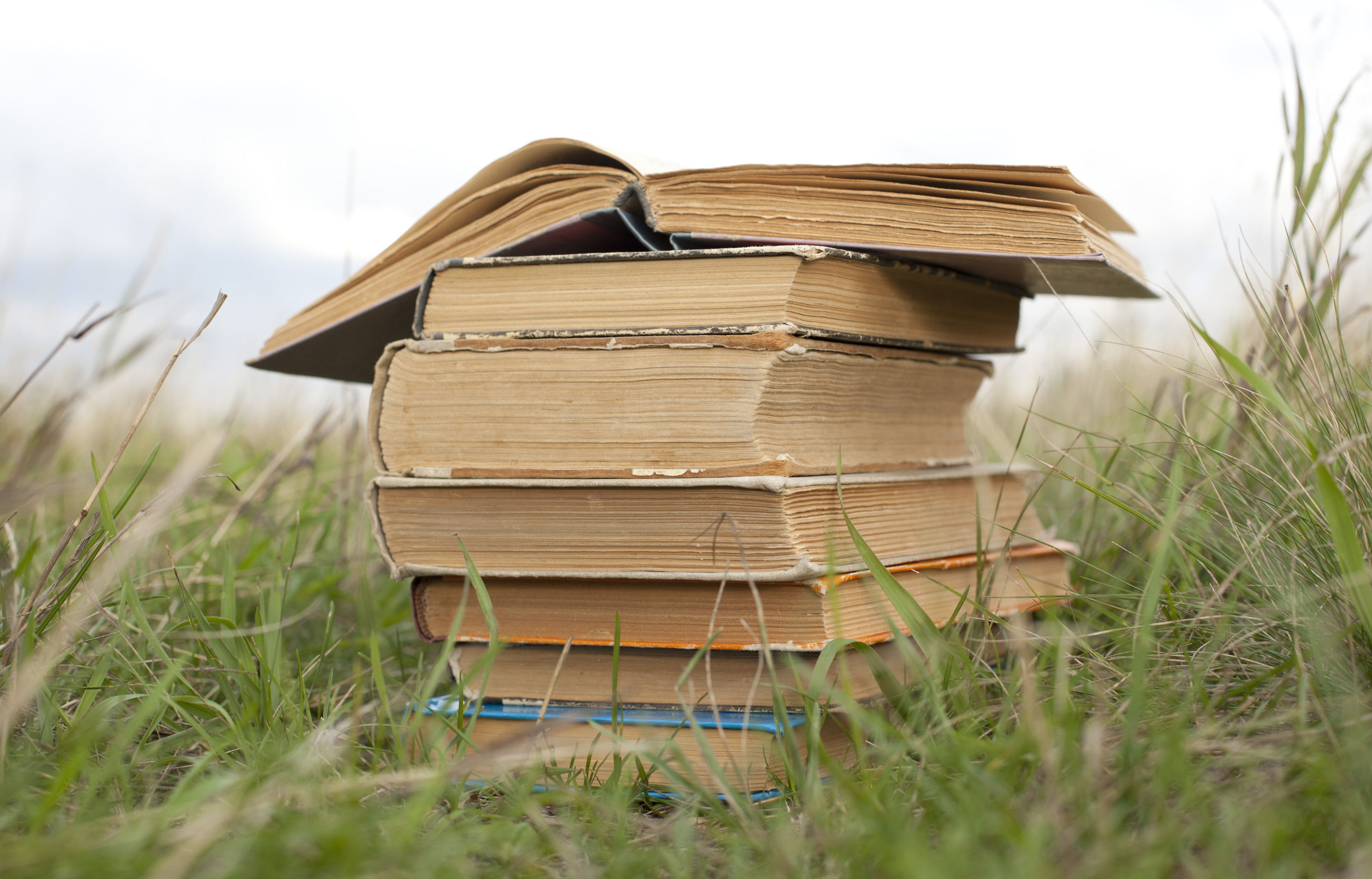 Bücher im Gras