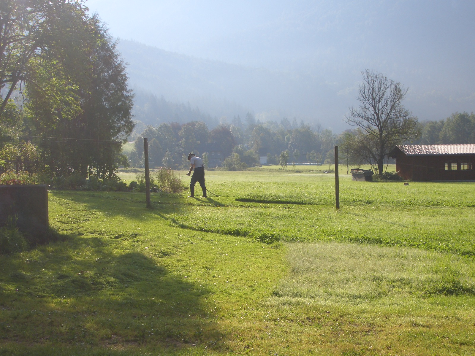 Bauer auf Wiese