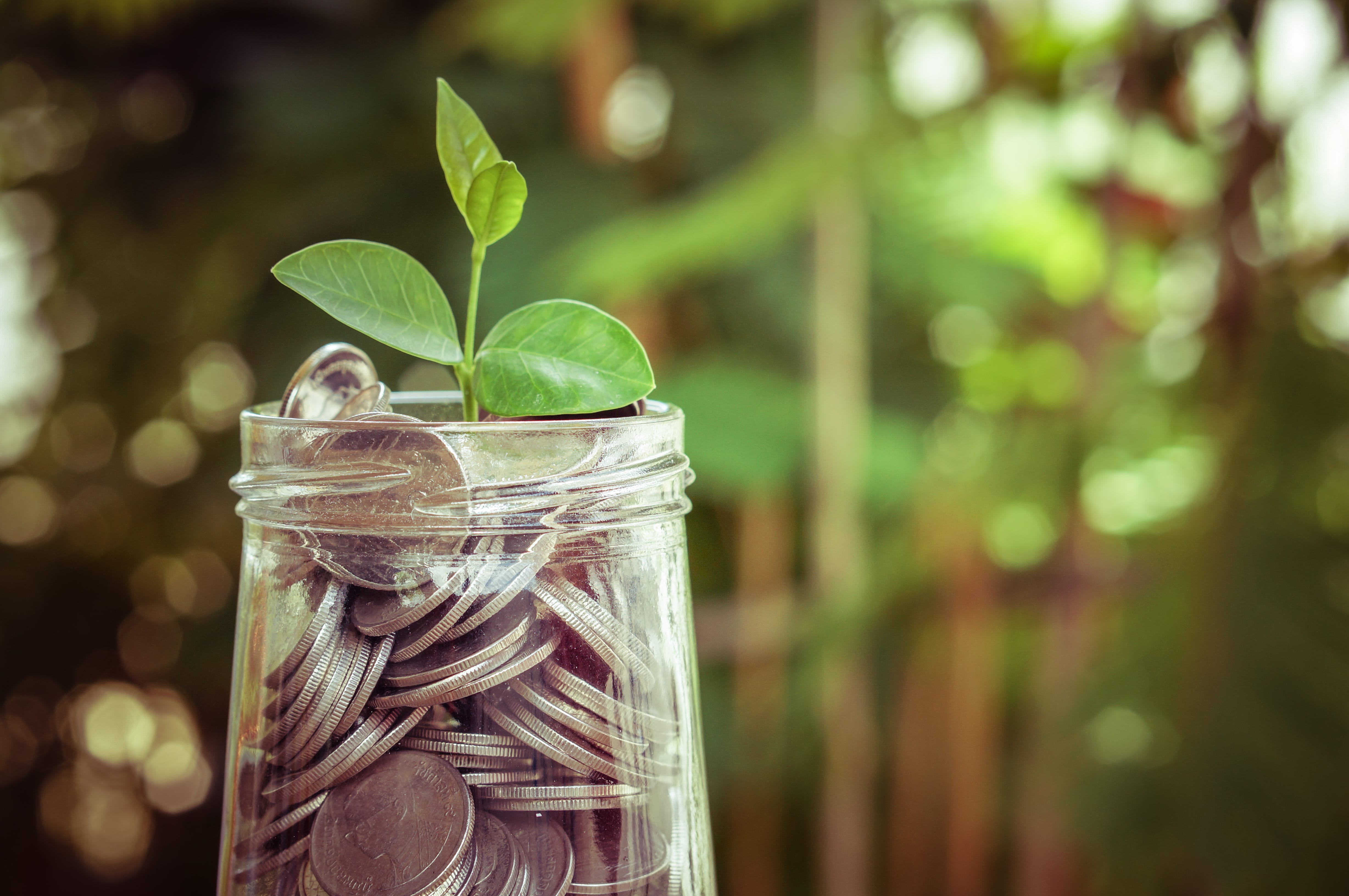 Mit Geld gefülltes Glas und Blatt