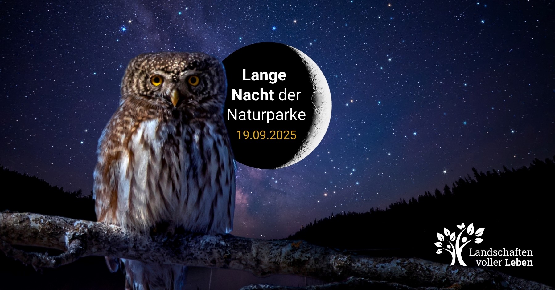Eule und Schriftzug