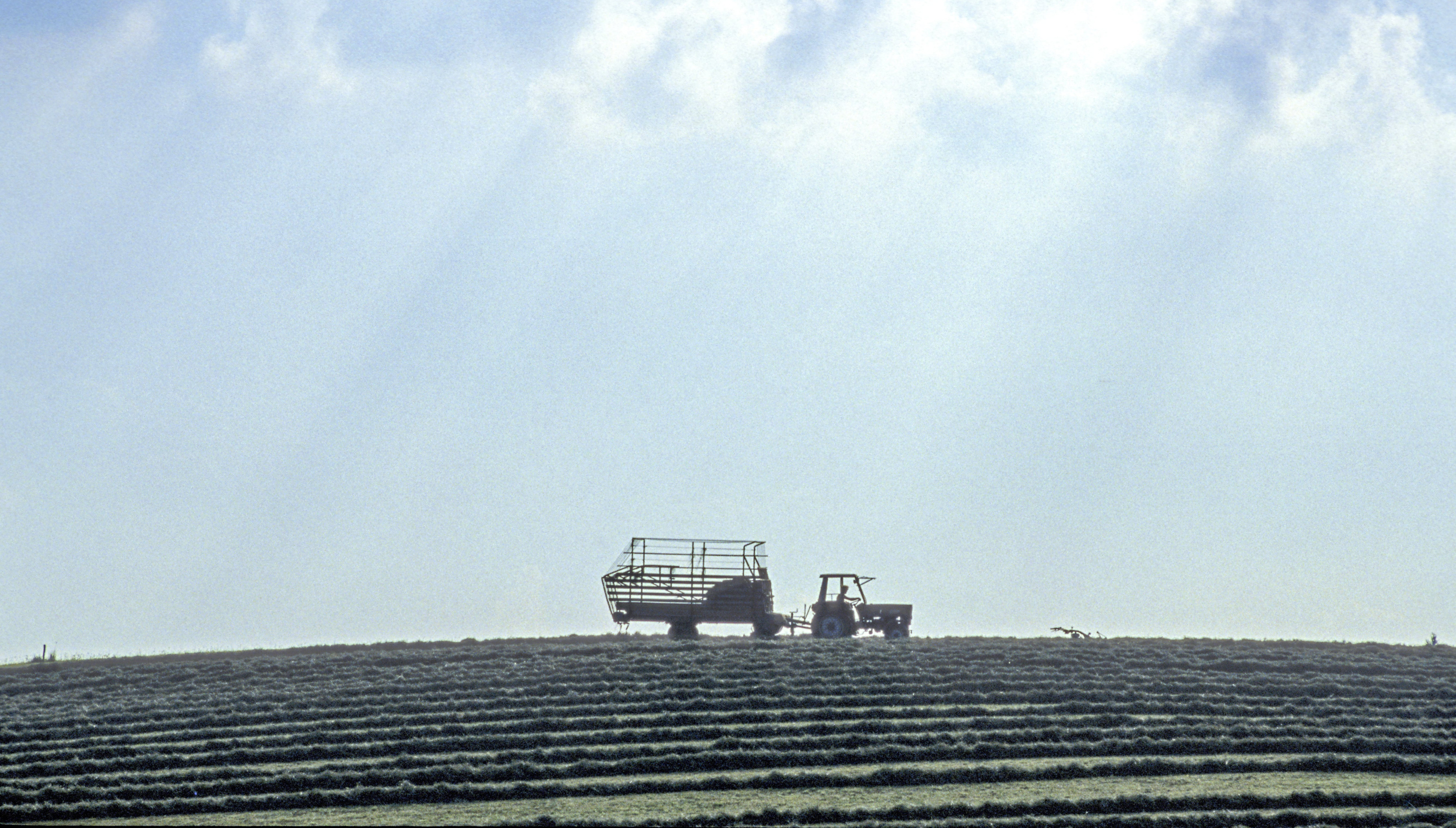Traktor auf Feld