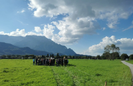 Mensch und Kühe auf Feld