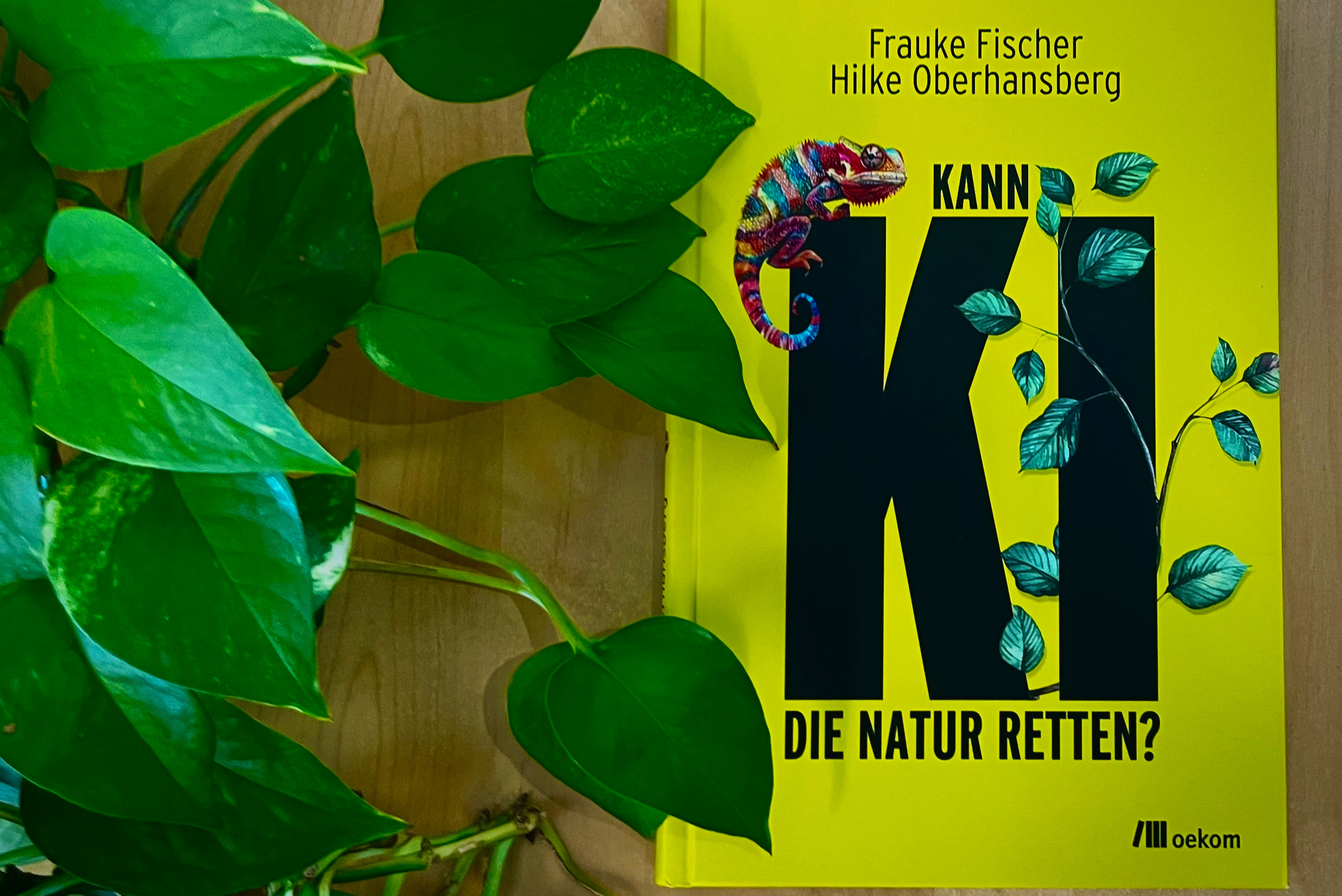 Buch