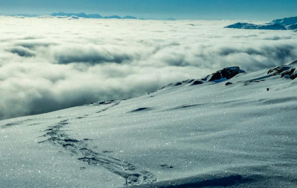 Schritte im Schnee