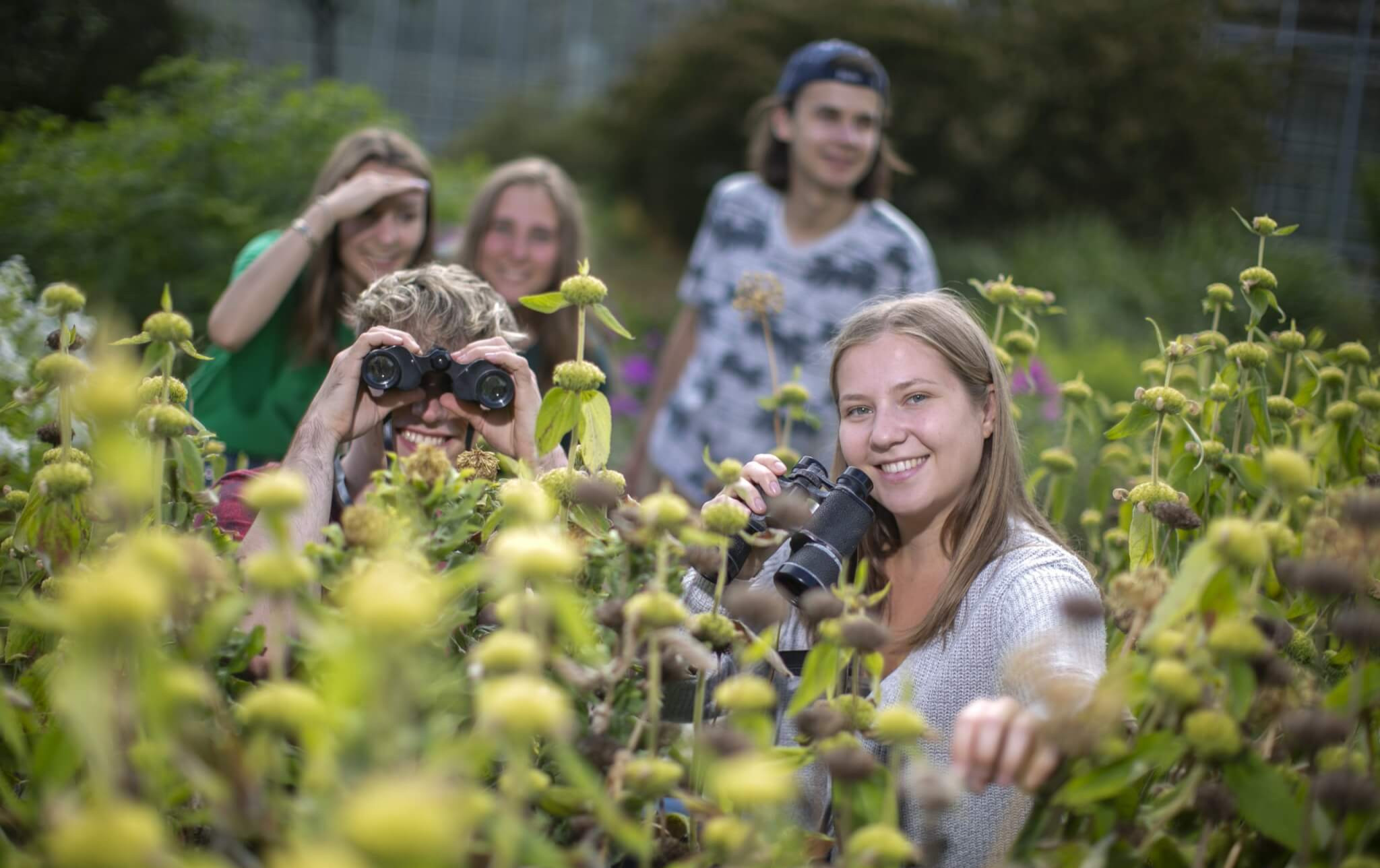 Jugendliche mit Fernglas im Rapsfeld