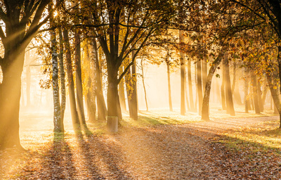 Novembermorgensonne
