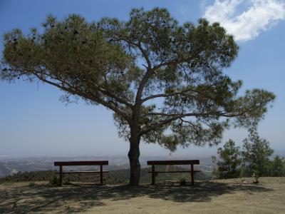 Ausblick