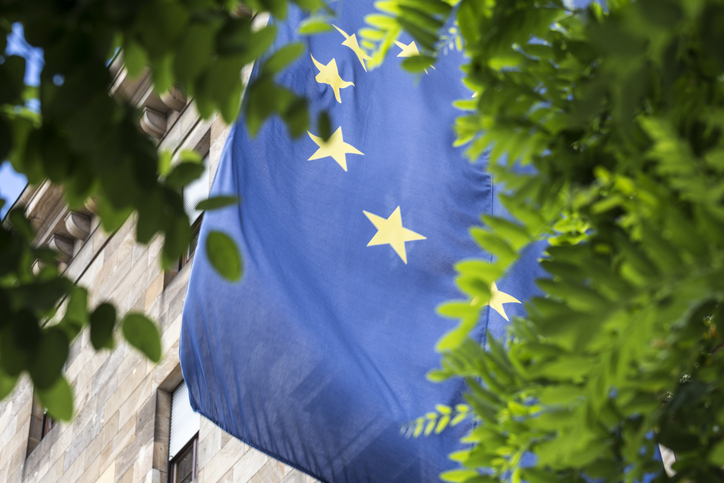 Europäische Flagge und Baum