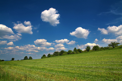 Frühsommer