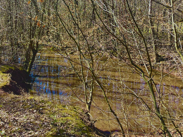Finger tippt ins Wasser