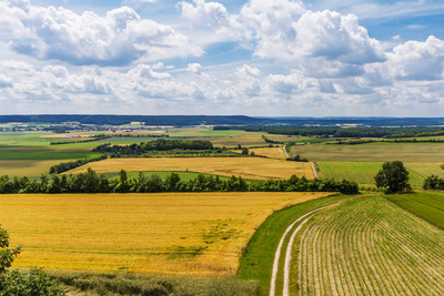 Hochsommer