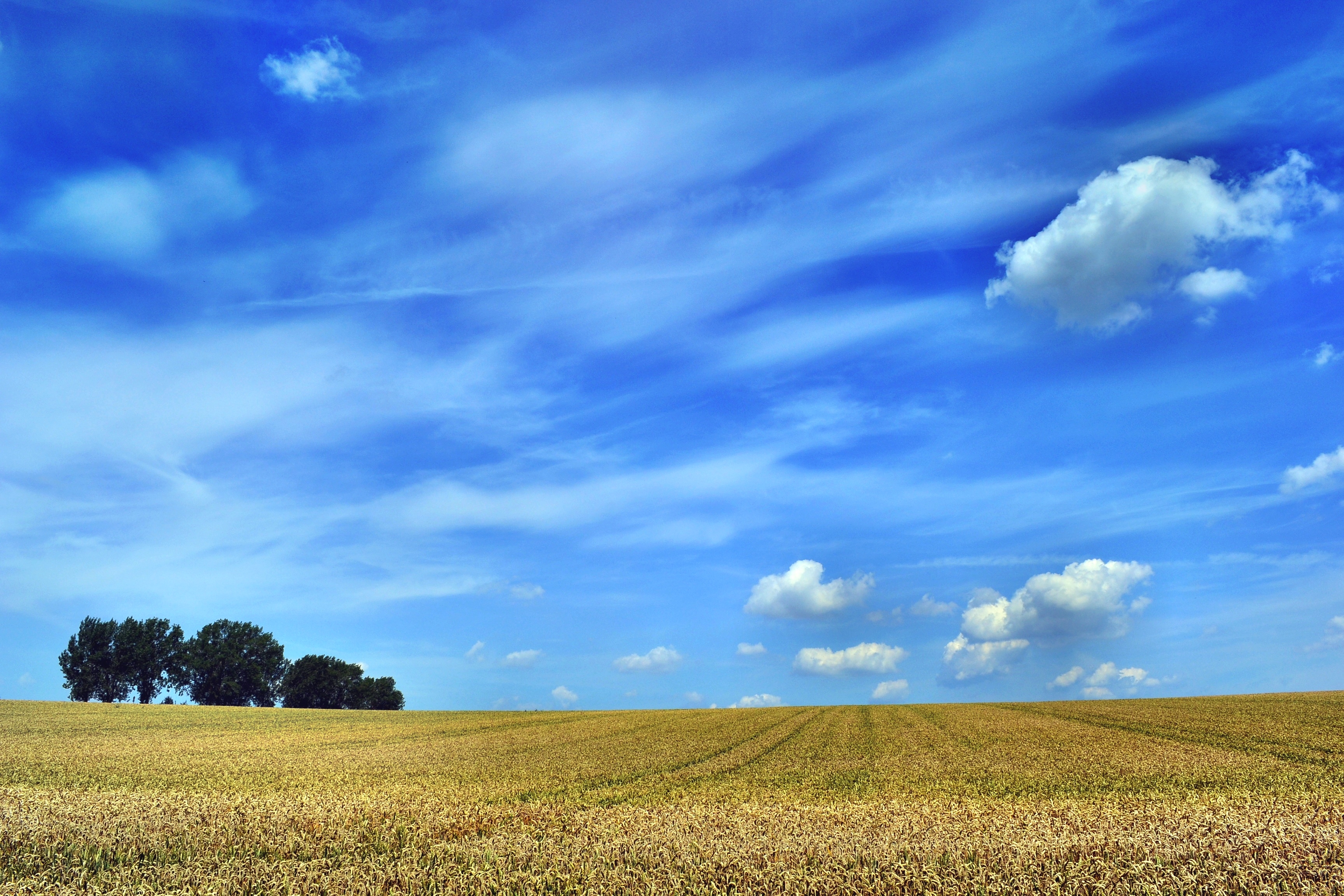 Sommerwetter