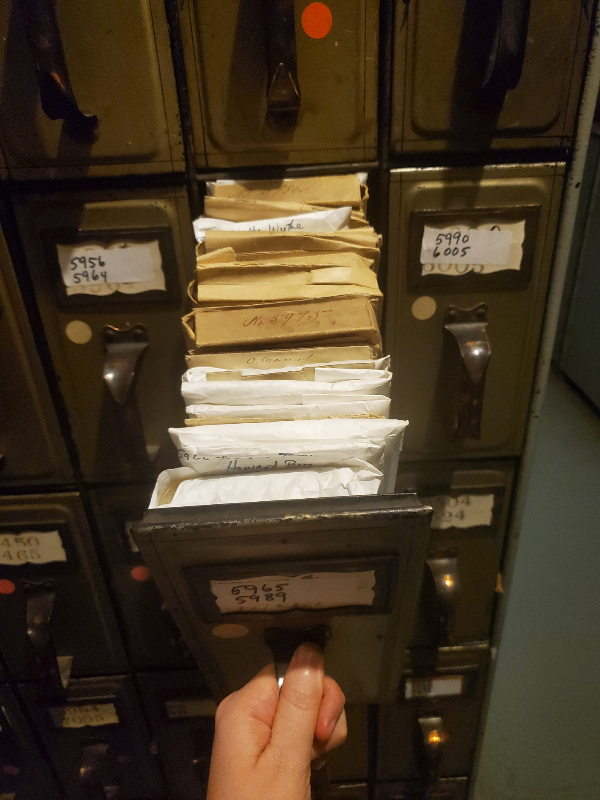 A vertical filing cabinet full of Estates in the basement of the Miles-Humes House. A person holds one of the "cans" open and many envelopes full of estates records are inside.