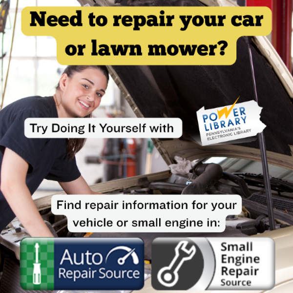 Need to repair your car or lawn mower? Try doing it yourself with Power Library. Find repair information for your vehicle or small engine in: Auto Repair Source and Small Engine Repair Source logos. Background photo of a woman doing repair on a car with it's front hood raised.