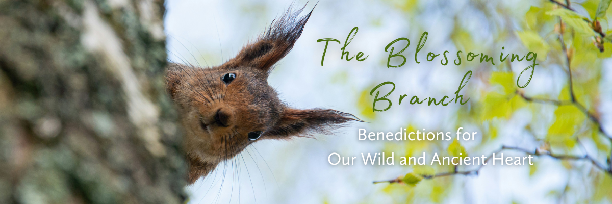 Newsletter Logo "The Blossoming Branch"