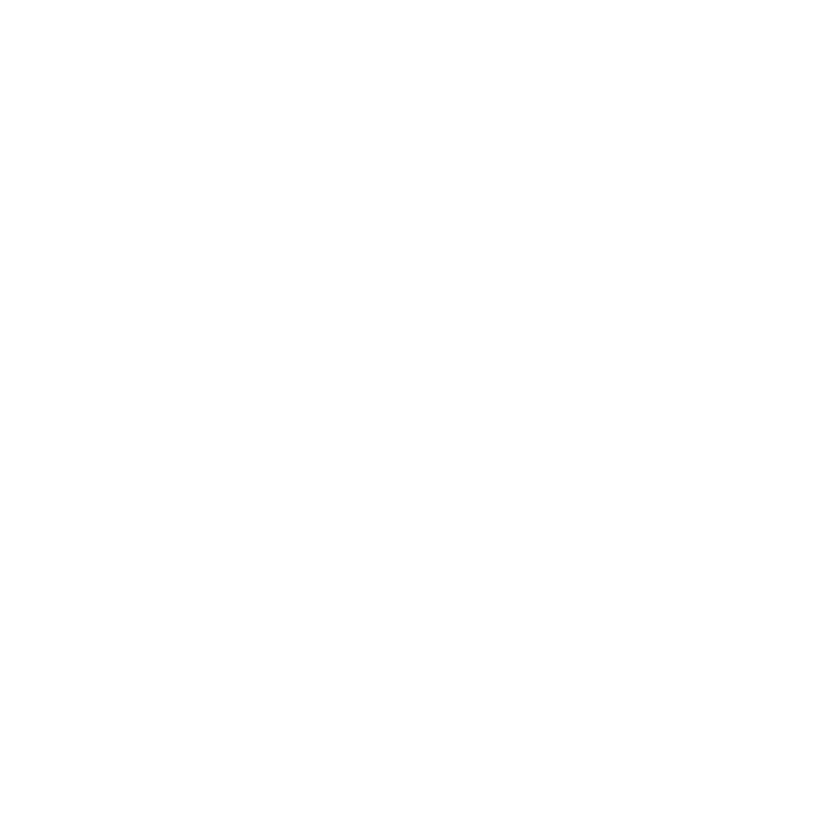 Plan de Salida