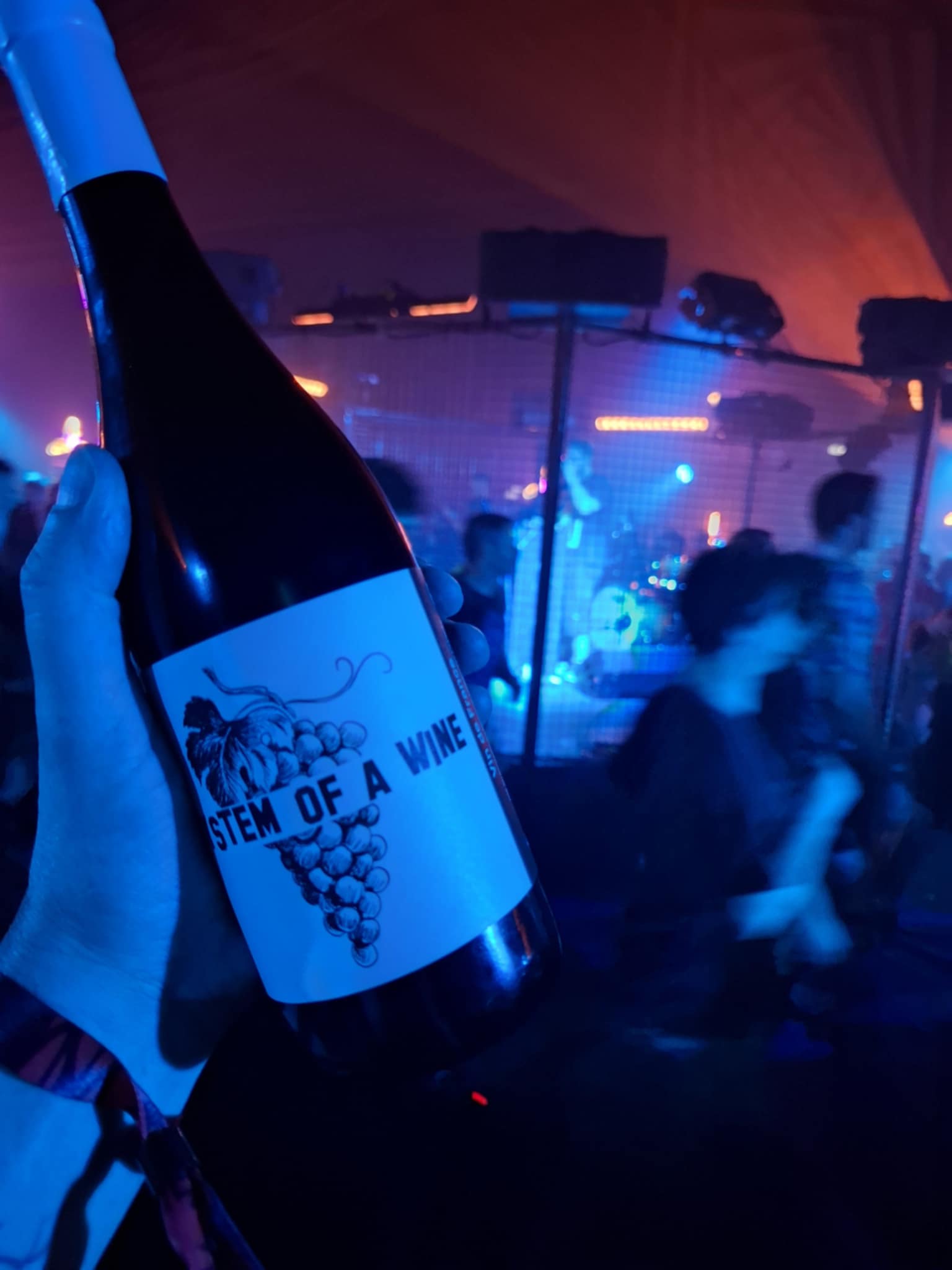 bouteille de vin rouge system of a wine sebastien-m