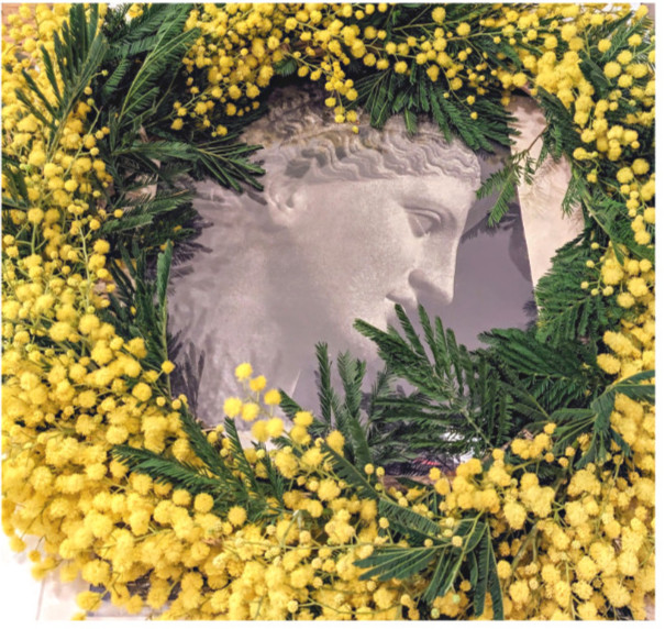Bouquet printanier avec mimosa — La Lunaire Biarritz