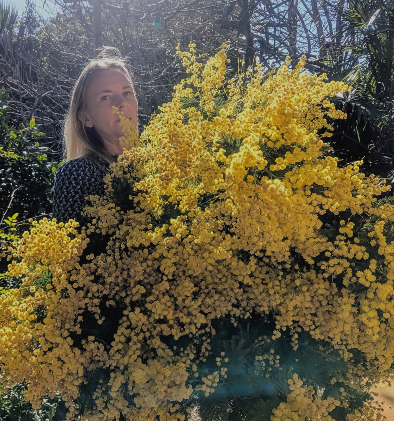 Bouquet surprise mimosa — La Lunaire