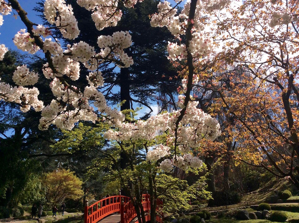 Musée Albert-Kahn — jardin à scènes