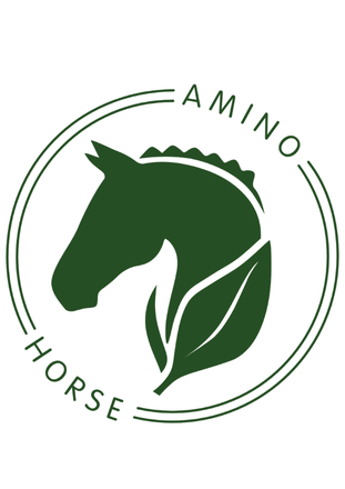 Amino Horse