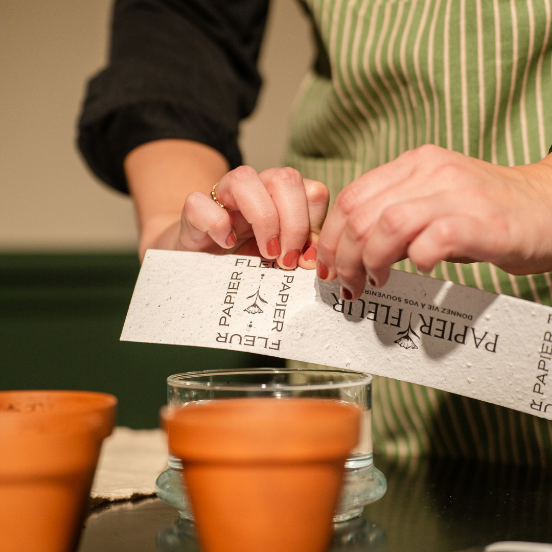 Déchirer le papier ensemencé avant de le planter