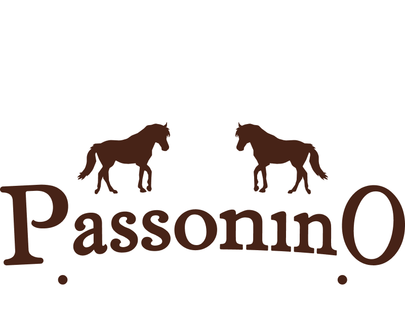 Logo Passonino