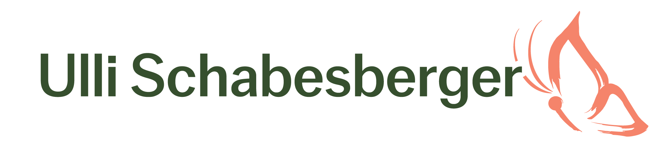Logo von Ulli Schabesberger