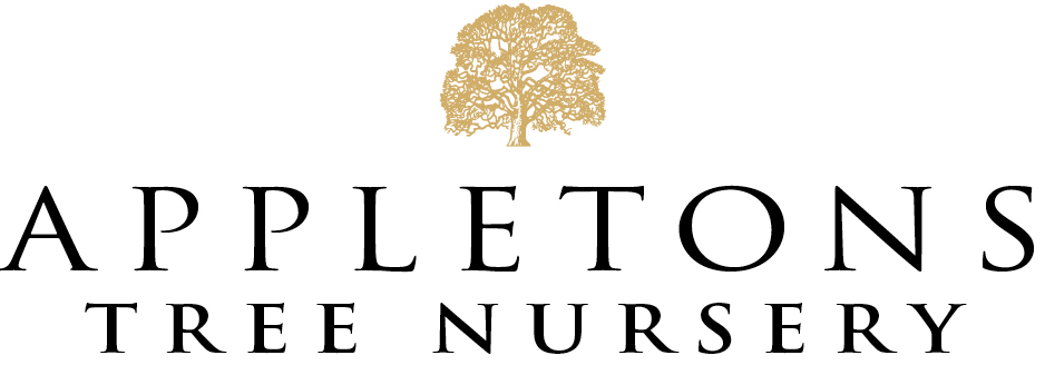 APPLETONS TREE NURSERY