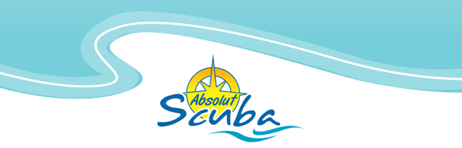 Absolut Scuba Tauchreisen 2026