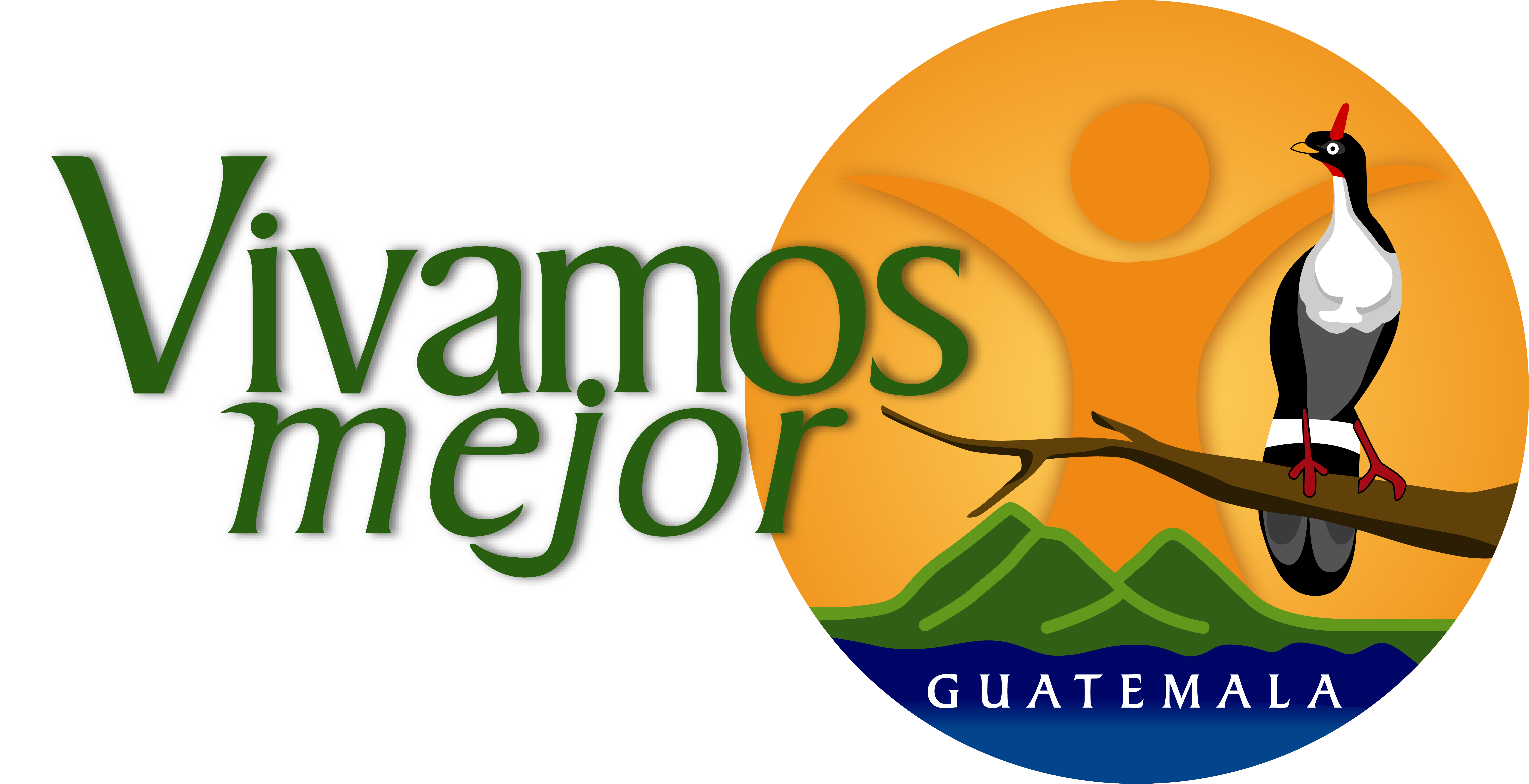 AVMG logo