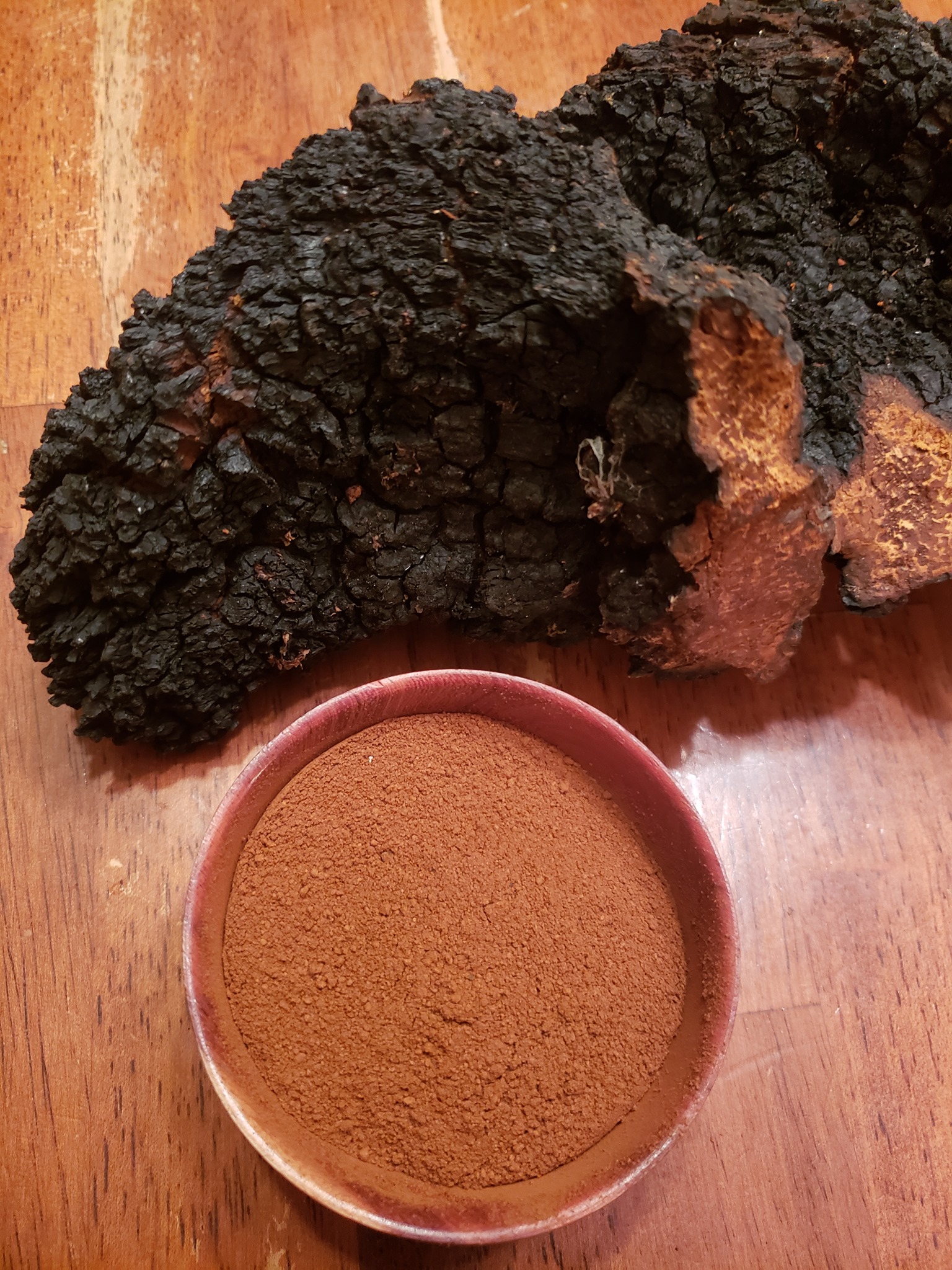 Wild PA Chaga